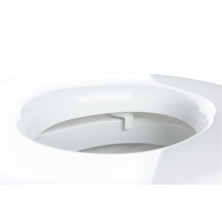 china-raised-toilet-seat